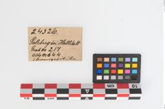 Etikett zu Bronzesitula (NHMW-PRAE-024326)